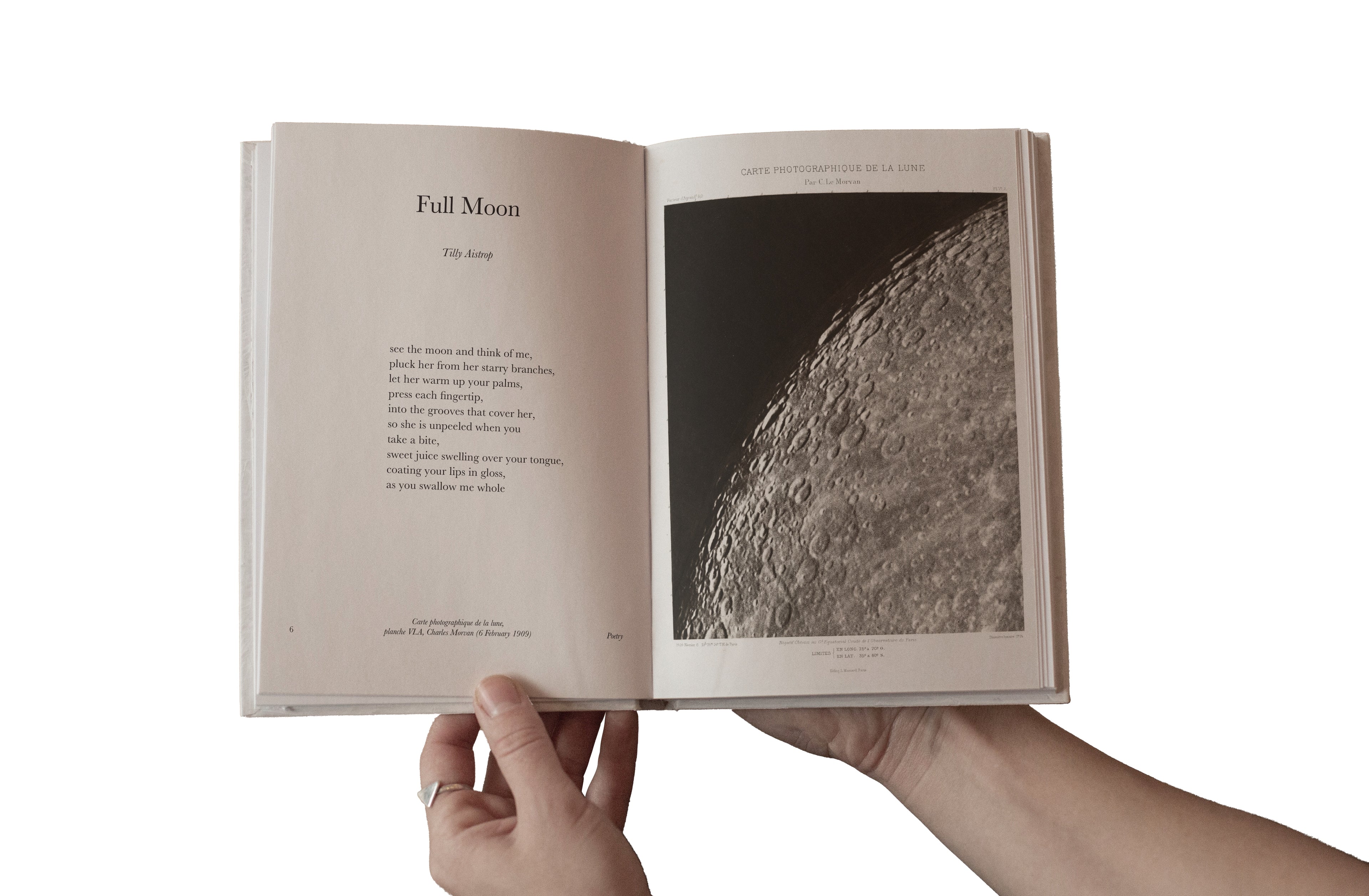 Scribbled: The First Year